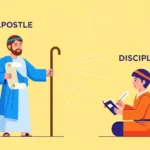 difference between apostle and disciple