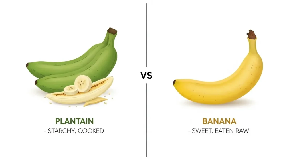 Nature and Behaviour of Plantain and Banana 