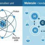 difference between atoms and molecules
