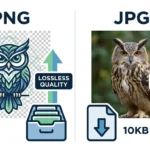 difference between png and jpg