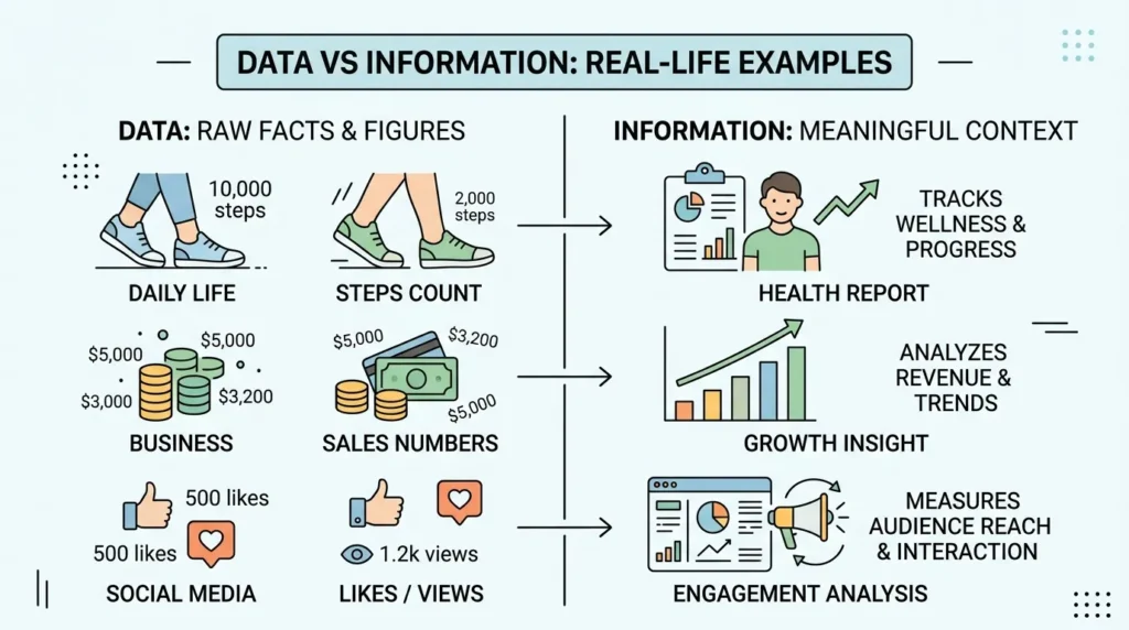 Real Life Examples with Data and Information