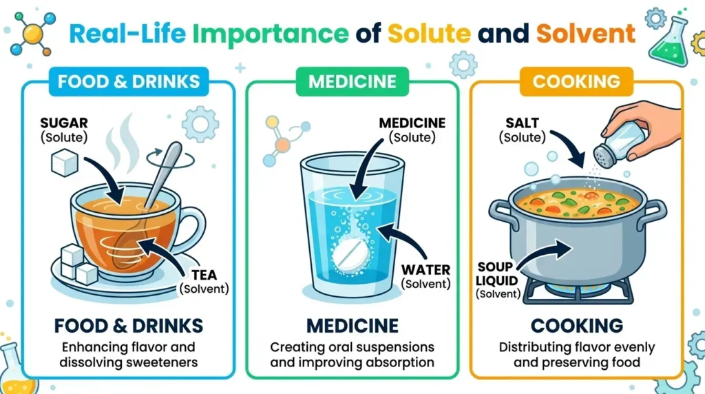 Real-Life Importance of Solute and Solvent